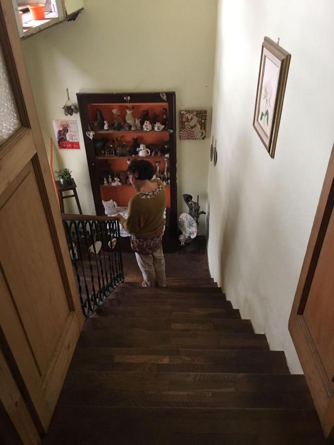 B&B Il Gatto Nero 카스텔베카나 외부 사진