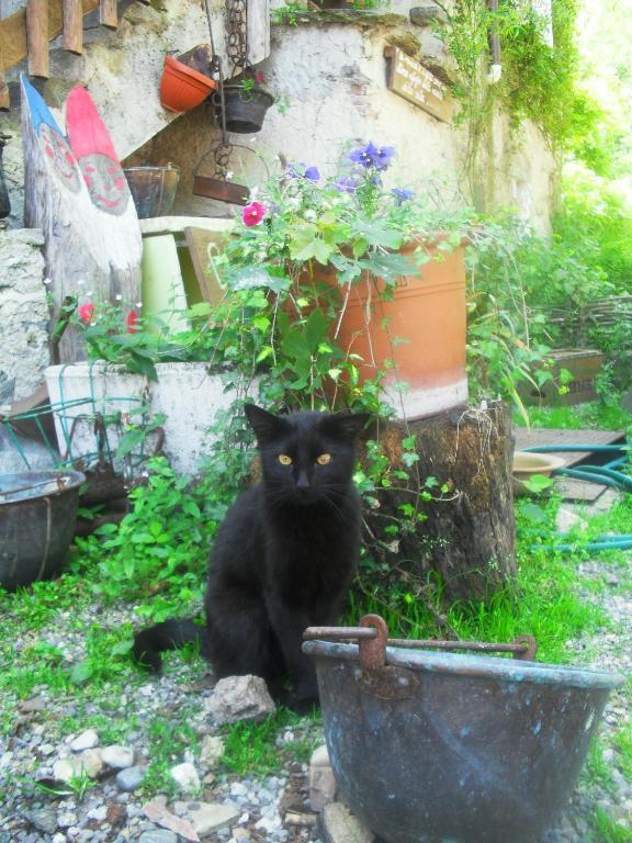 B&B Il Gatto Nero 카스텔베카나 외부 사진