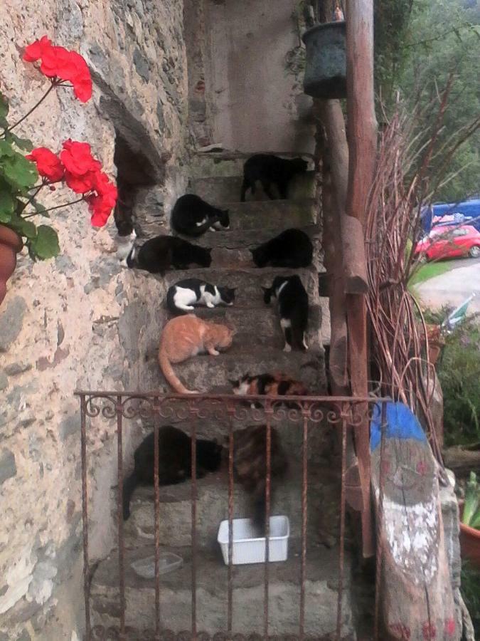 B&B Il Gatto Nero 카스텔베카나 외부 사진